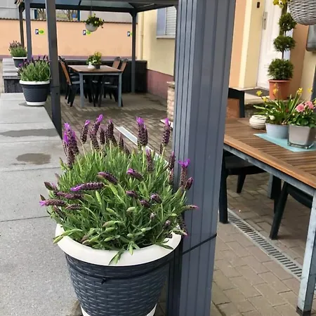 De Winter - - Apartmenthaus - Monteurzimmer Гостевой дом