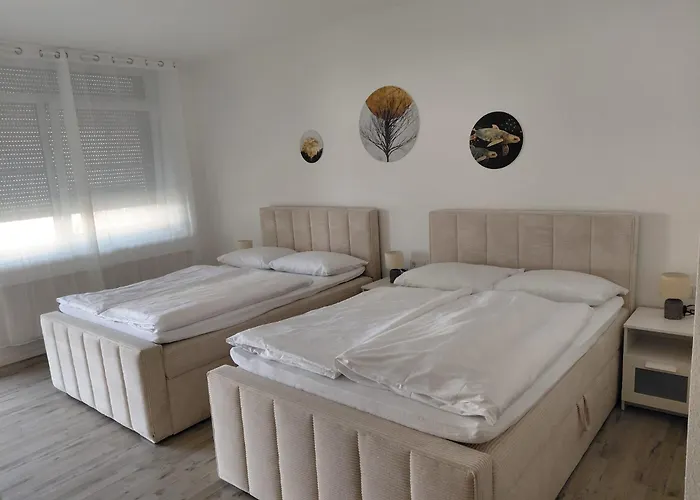 De Winter - - Apartmenthaus - Monteurzimmer 招待所 3*