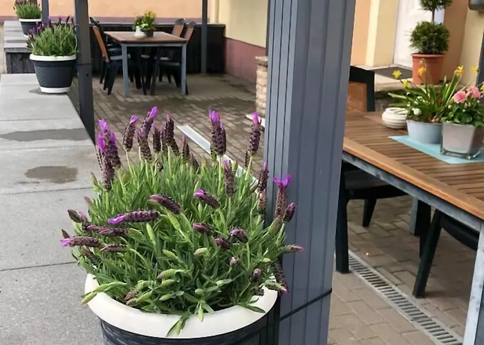 De Winter - - Apartmenthaus - Monteurzimmer 招待所